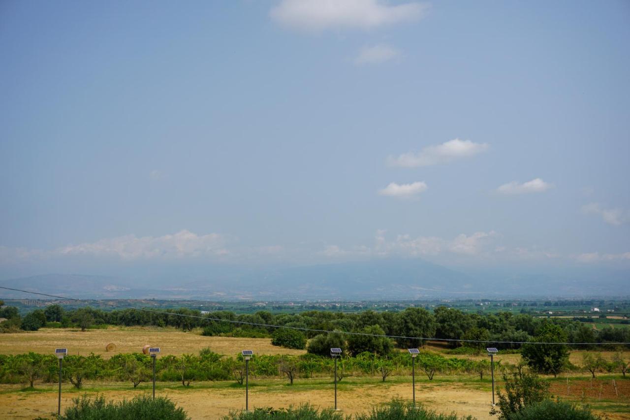 Agriturismo Casacchella Marina di Sibari Exteriér fotografie