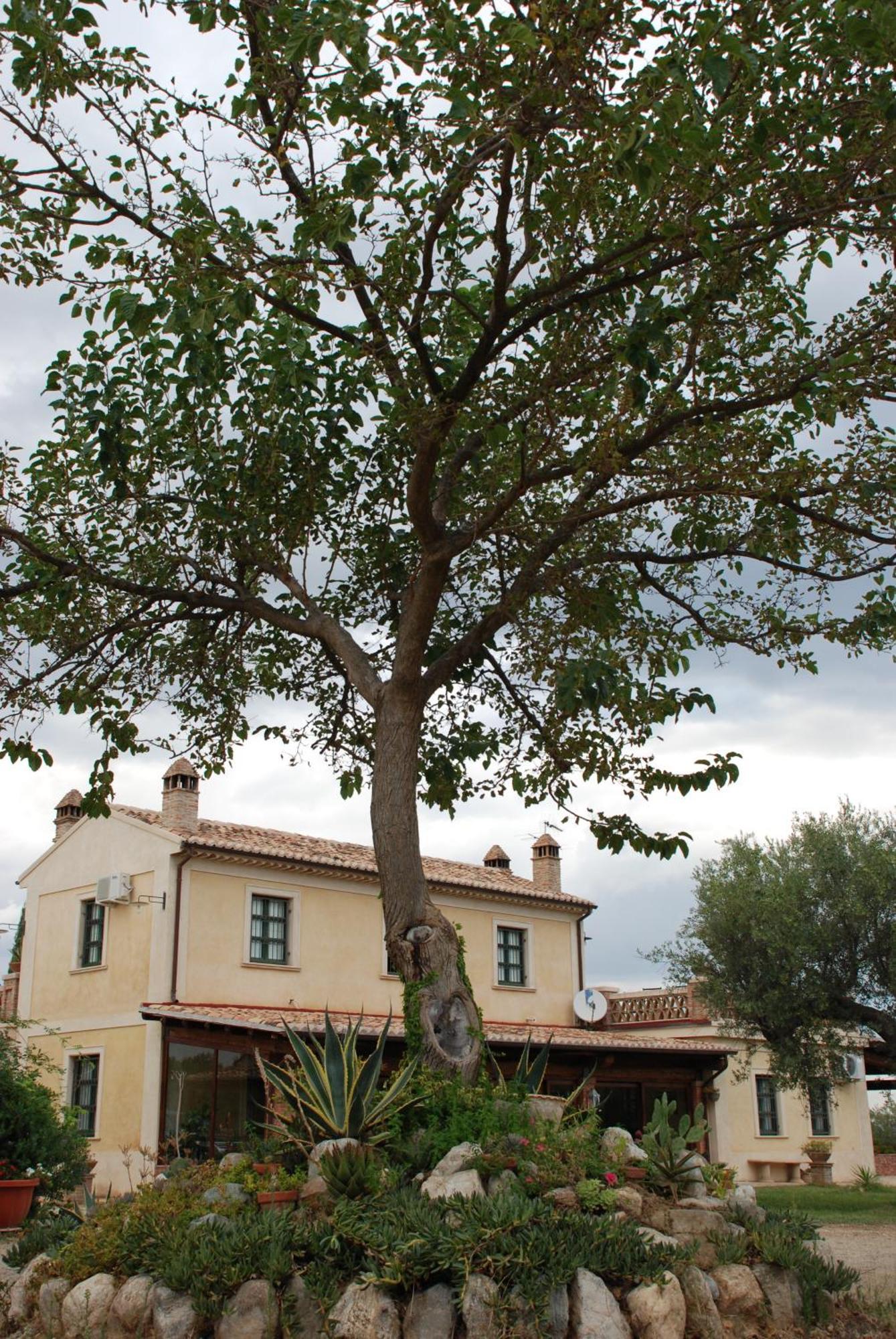 Agriturismo Casacchella Marina di Sibari Pokoj fotografie